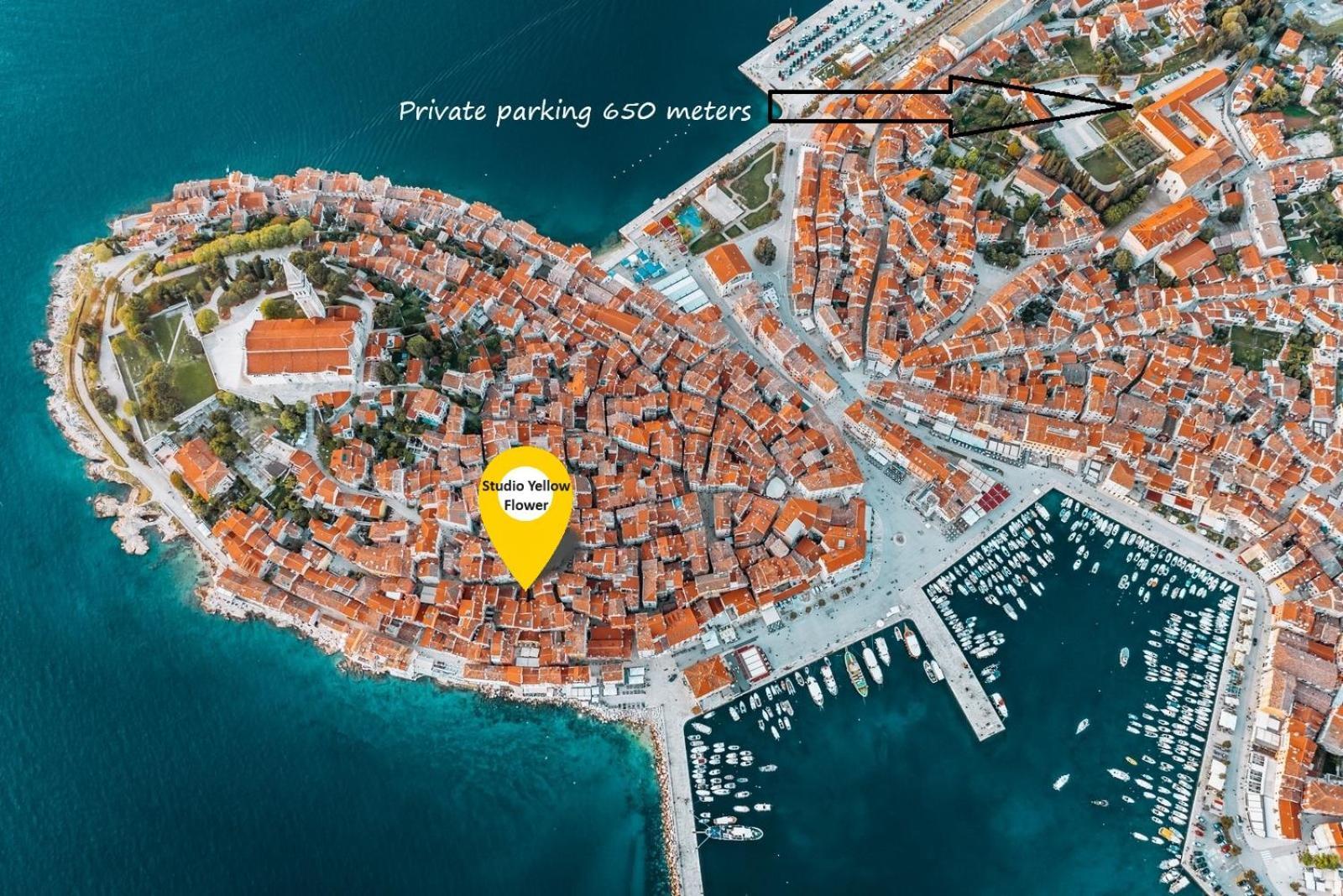 Studio Yellow Flower Rovinj Exteriör bild